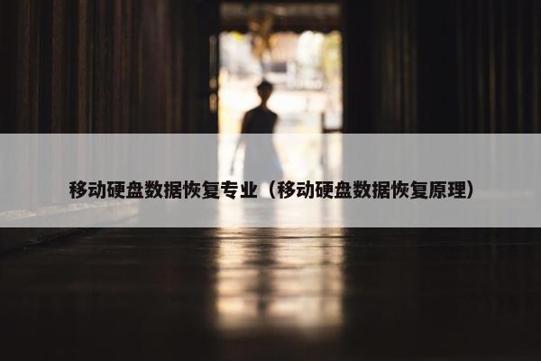 移动硬盘数据恢复专业（移动硬盘数据恢复原理）