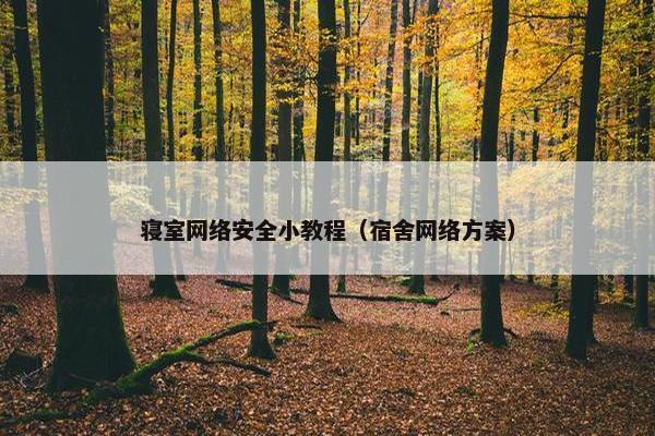 寝室网络安全小教程（宿舍网络方案）