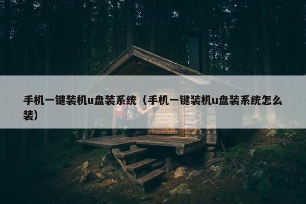 手机一键装机u盘装系统（手机一键装机u盘装系统怎么装）