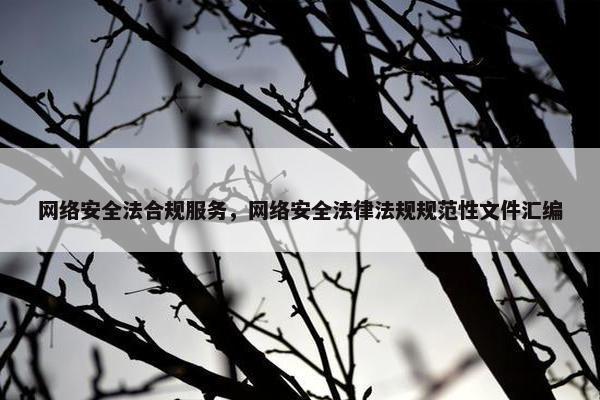 网络安全法合规服务，网络安全法律法规规范性文件汇编