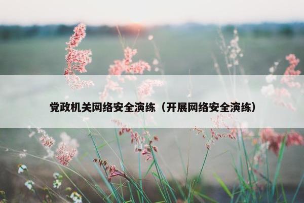 党政机关网络安全演练（开展网络安全演练）