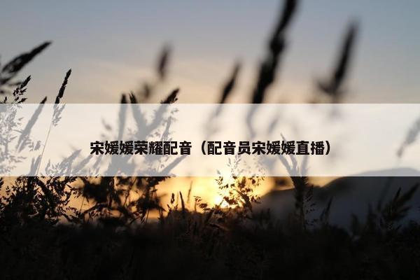 宋媛媛荣耀配音（配音员宋媛媛直播）