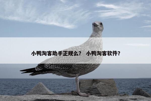 小鸭淘客助手正规么？ 小鸭淘客软件？