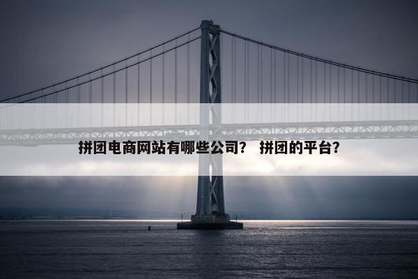 拼团电商网站有哪些公司？ 拼团的平台？