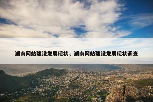 湖南网站建设发展现状，湖南网站建设发展现状调查