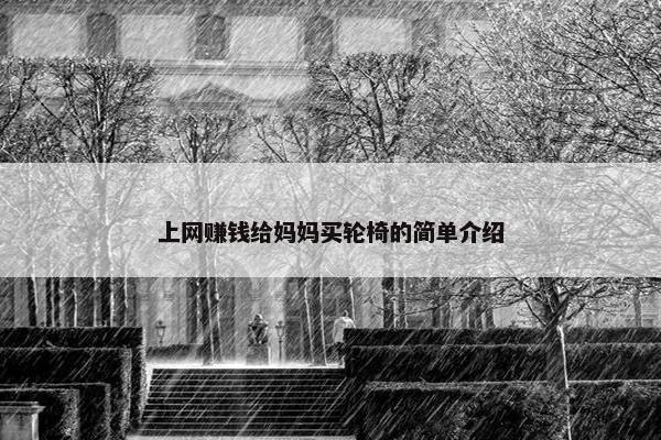 上网赚钱给妈妈买轮椅的简单介绍