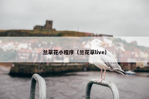 兰草花小程序（兰花草live）
