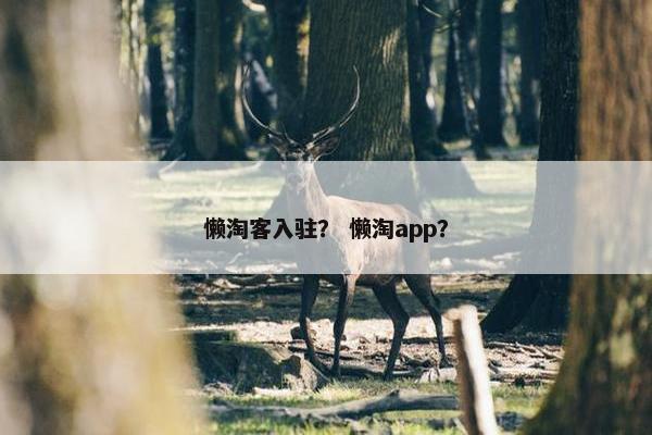 懒淘客入驻？ 懒淘app？