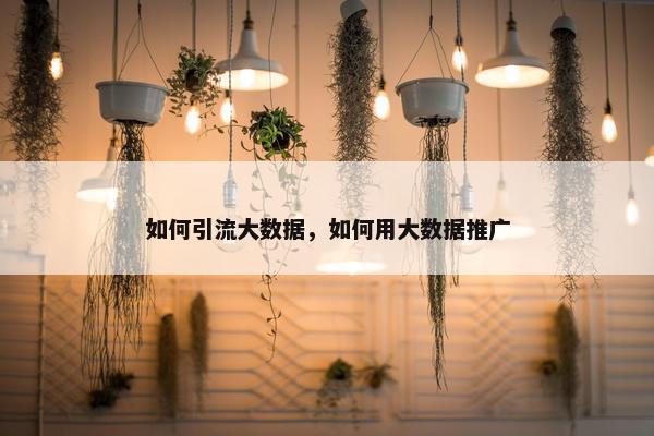 如何引流大数据，如何用大数据推广