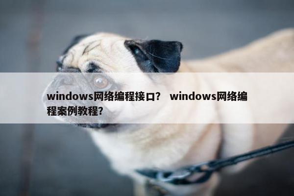 windows网络编程接口？ windows网络编程案例教程？