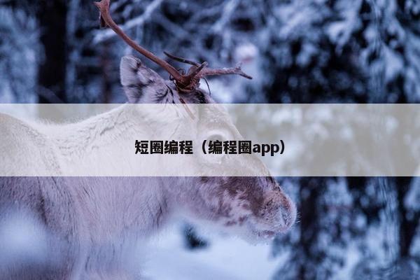 短圈编程（编程圈app）