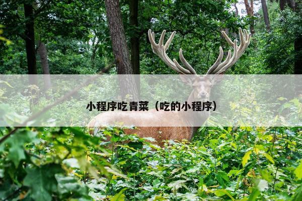 小程序吃青菜（吃的小程序）