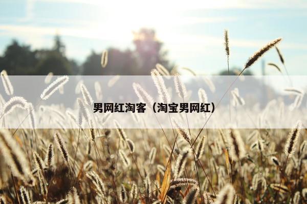 男网红淘客（淘宝男网红）