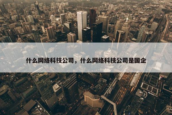 什么网络科技公司，什么网络科技公司是国企