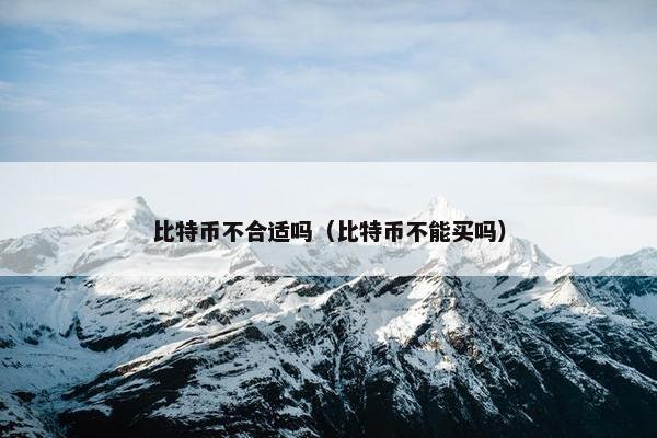 比特币不合适吗（比特币不能买吗）