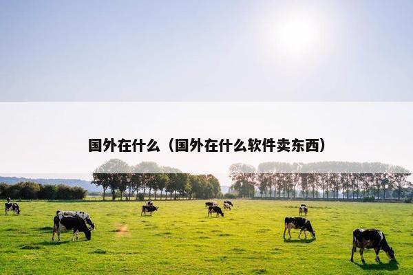 国外在什么（国外在什么软件卖东西）