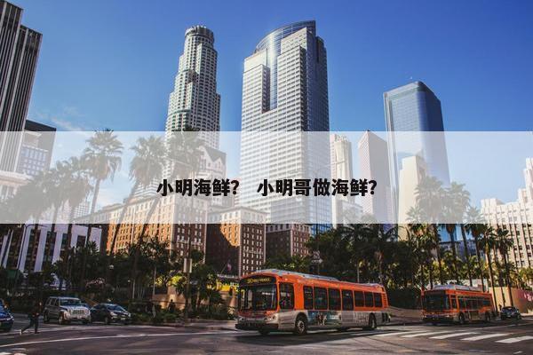 小明海鲜？ 小明哥做海鲜？