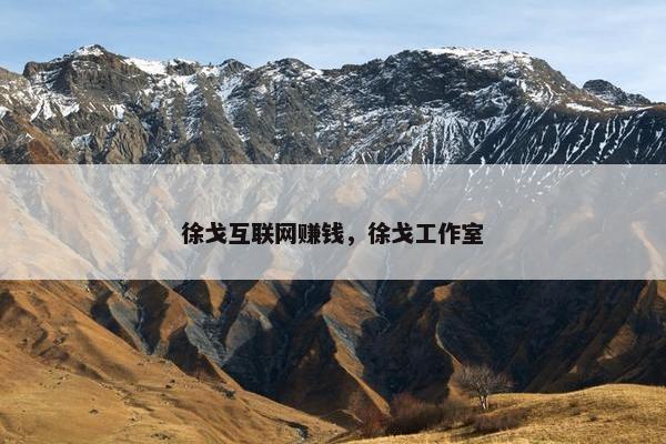 徐戈互联网赚钱，徐戈工作室