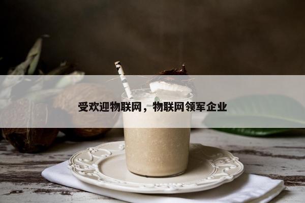 受欢迎物联网，物联网领军企业