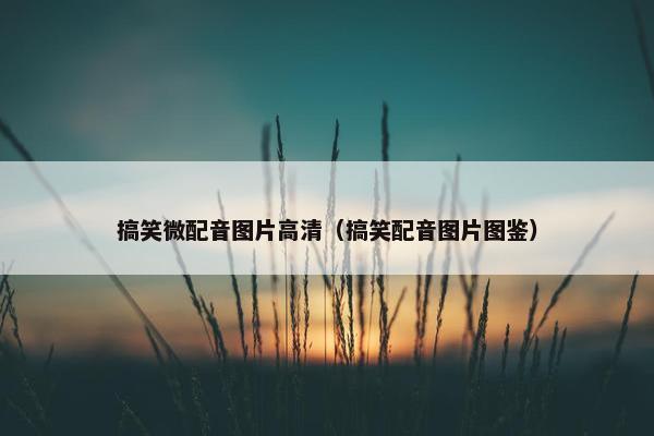 搞笑微配音图片高清（搞笑配音图片图鉴）