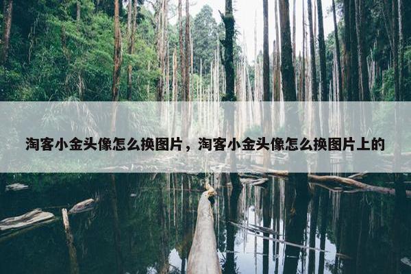 淘客小金头像怎么换图片，淘客小金头像怎么换图片上的