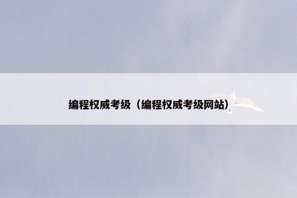 编程权威考级（编程权威考级网站）
