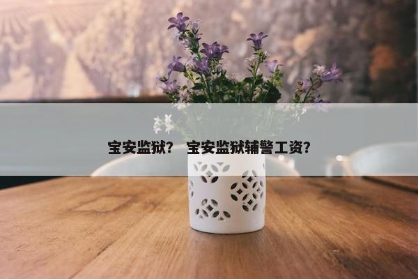 宝安监狱？ 宝安监狱辅警工资？