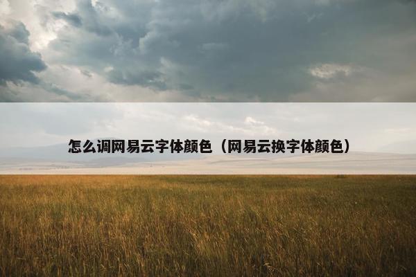 怎么调网易云字体颜色（网易云换字体颜色）
