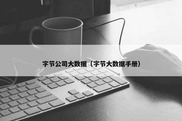 字节公司大数据（字节大数据手册）