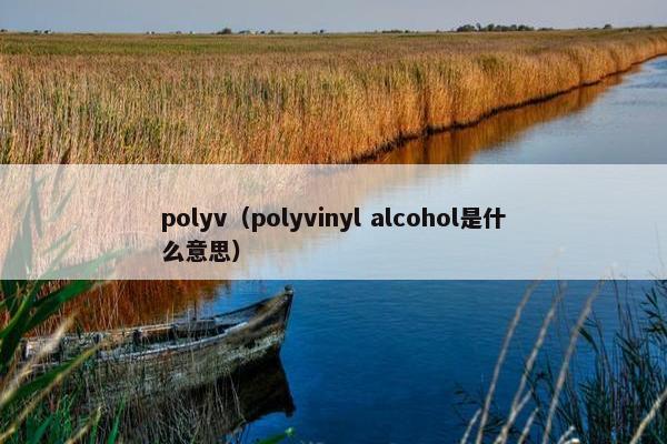 polyv（polyvinyl alcohol是什么意思）