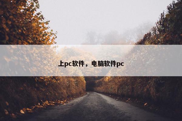 上pc软件，电脑软件pc