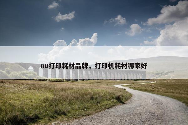 nu打印耗材品牌，打印机耗材哪家好