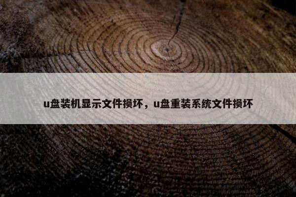 u盘装机显示文件损坏，u盘重装系统文件损坏