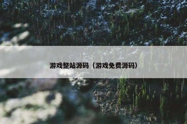 游戏整站源码（游戏免费源码）
