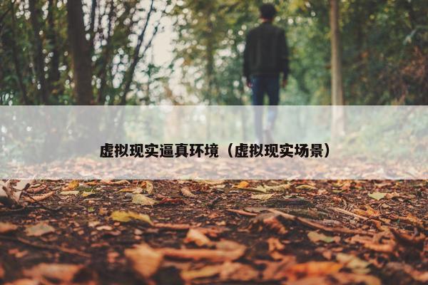 虚拟现实逼真环境（虚拟现实场景）