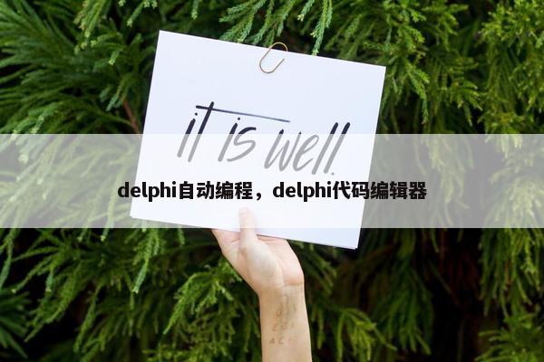 delphi自动编程，delphi代码编辑器