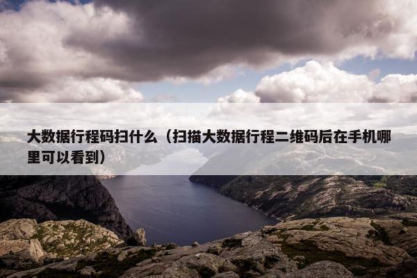 大数据行程码扫什么（扫描大数据行程二维码后在手机哪里可以看到）