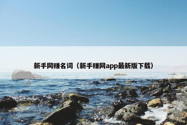 新手网赚名词（新手赚网app最新版下载）