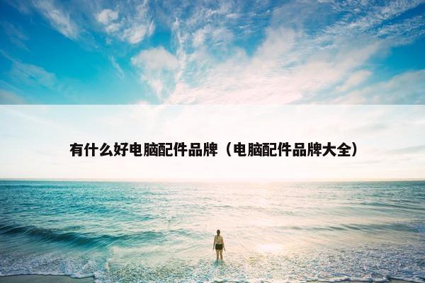 有什么好电脑配件品牌（电脑配件品牌大全）