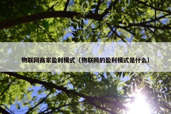 物联网商家盈利模式（物联网的盈利模式是什么）