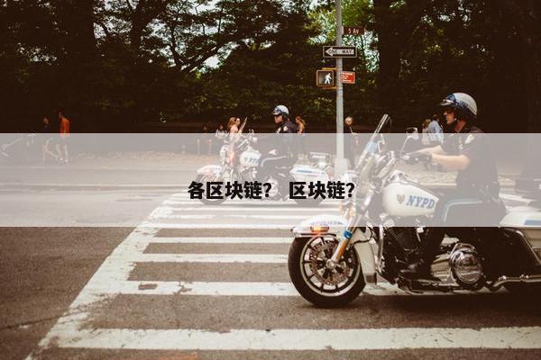 各区块链？ 区块链？