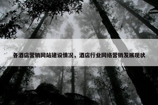 各酒店营销网站建设情况，酒店行业网络营销发展现状