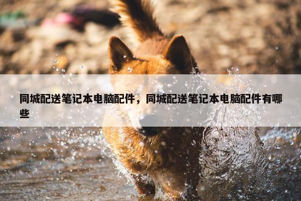 同城配送笔记本电脑配件，同城配送笔记本电脑配件有哪些