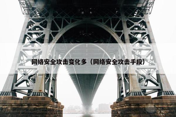 网络安全攻击变化多（网络安全攻击手段）