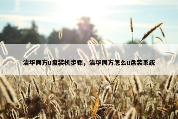 清华同方u盘装机步骤，清华同方怎么u盘装系统