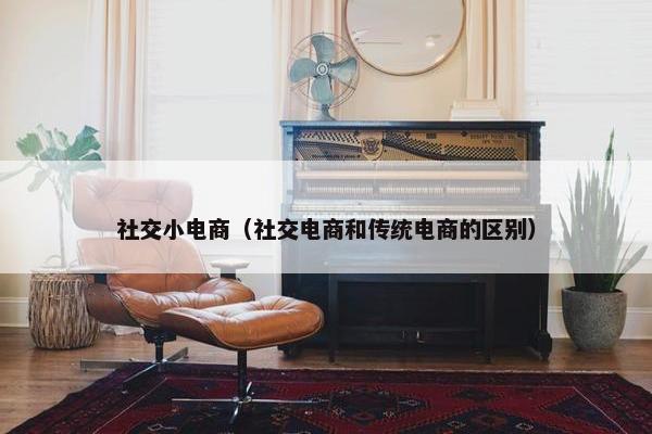 社交小电商（社交电商和传统电商的区别）