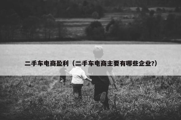 二手车电商盈利（二手车电商主要有哪些企业?）