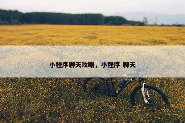 小程序聊天攻略，小程序 聊天