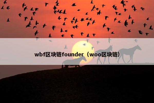 wbf区块链founder（woo区块链）