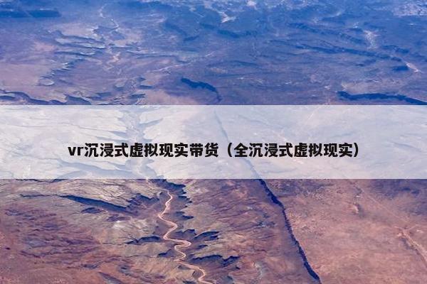 vr沉浸式虚拟现实带货（全沉浸式虚拟现实）